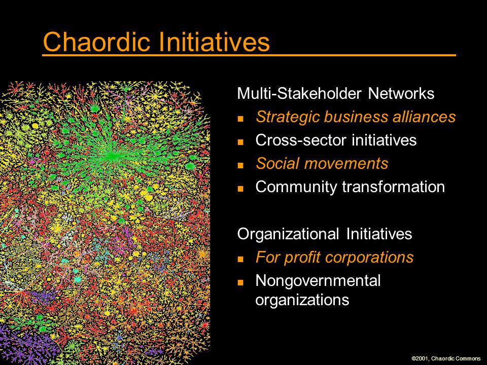 Chaordic Initiatives Multi-Stakeholder Networks