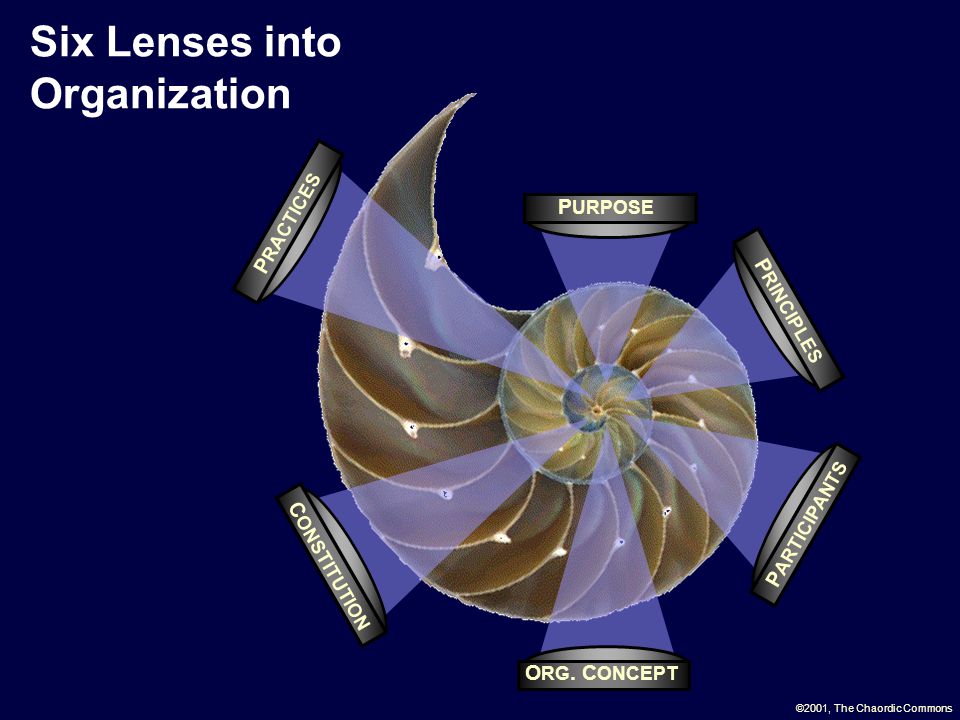 Six Lenses into Organization