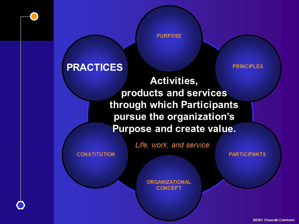 PURPOSE PRACTICES. PRINCIPLES. Activities, products and services through which Participants pursue the organization’s Purpose and create value.