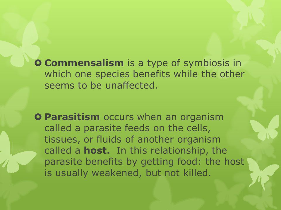 Commensalism is a type of symbiosis in which one species benefits while the other seems to be unaffected.