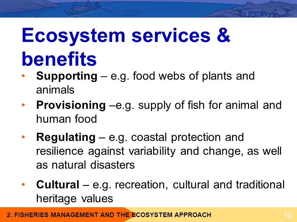 Ecosystem services & benefits