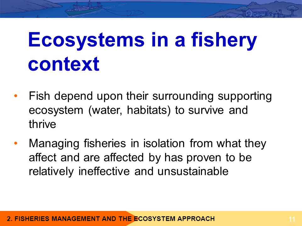 Ecosystems in a fishery context