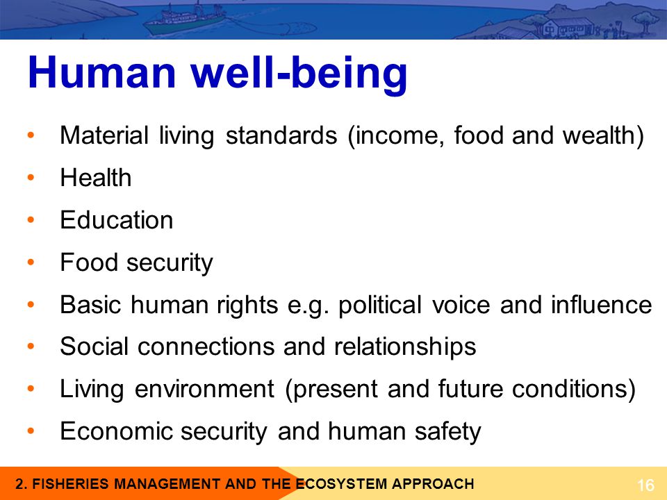 Human well-being Material living standards (income, food and wealth)