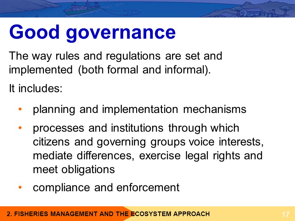 Good governance The way rules and regulations are set and implemented (both formal and informal). It includes: