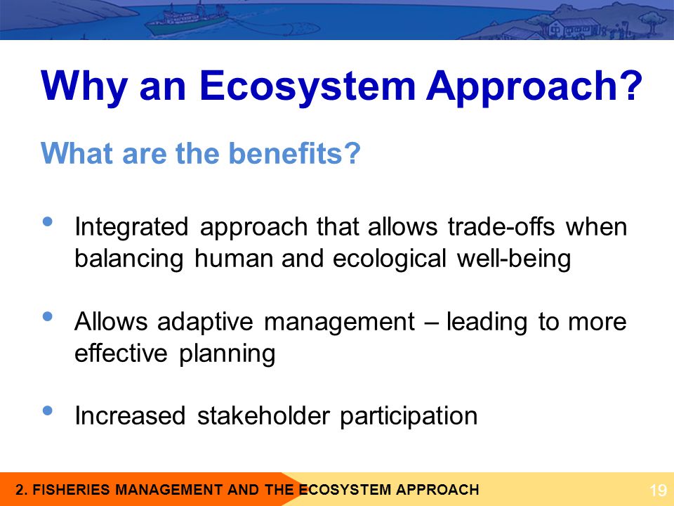 Why an Ecosystem Approach
