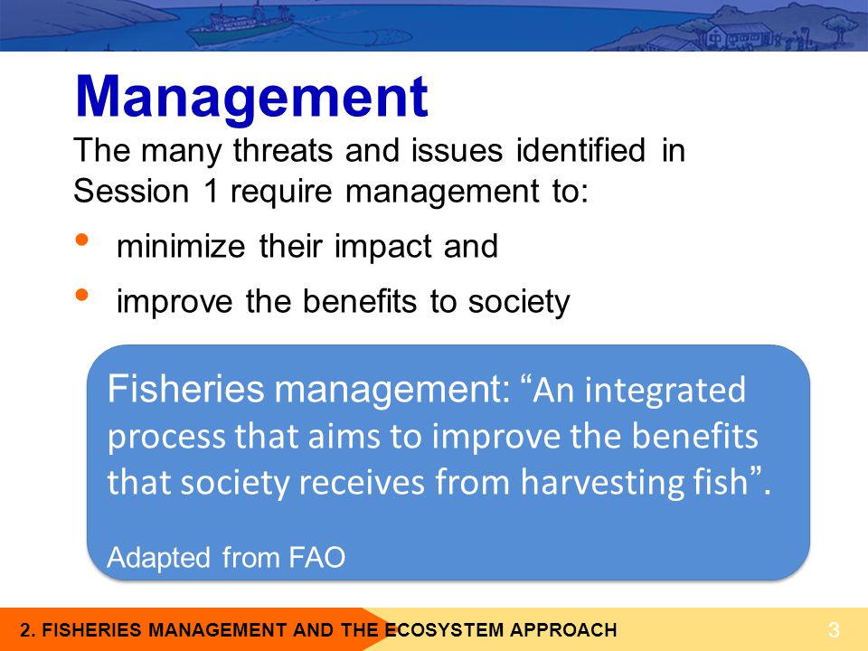 Management The many threats and issues identified in Session 1 require management to: minimize their impact and.