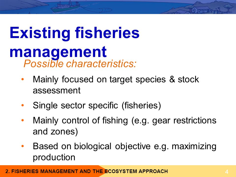 Existing fisheries management