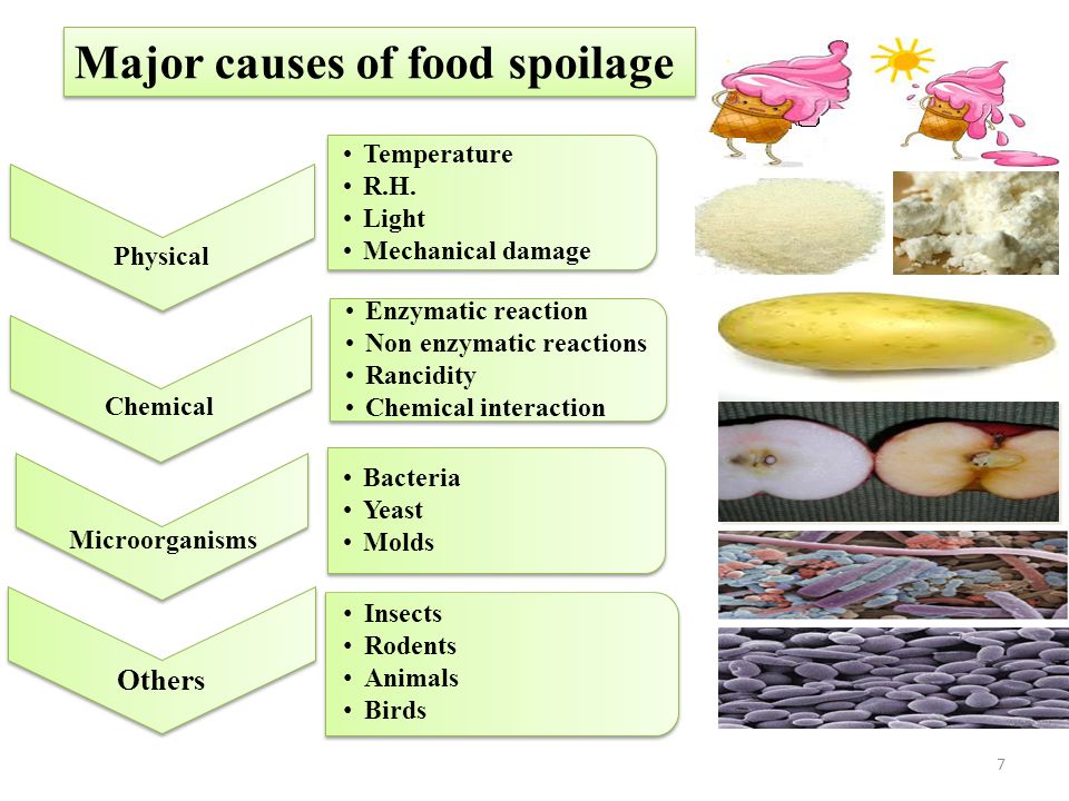 Food Spoilage Chart