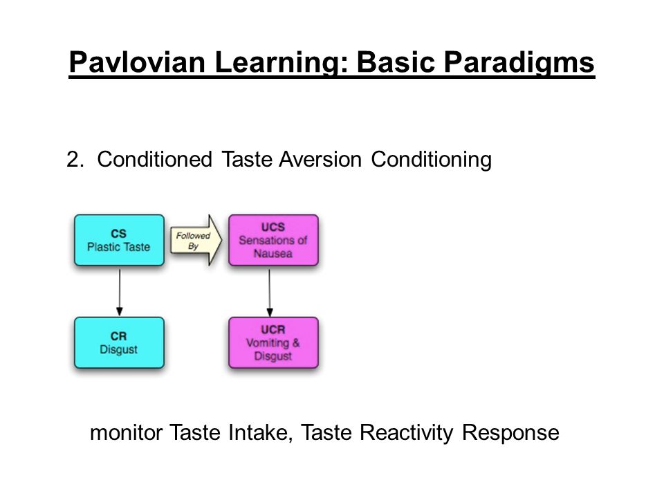 pavlovian learning model