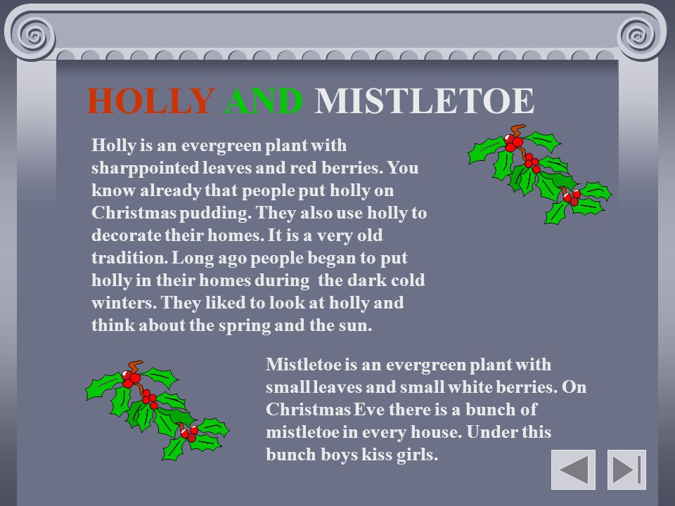 Who Decided The Mistletoe Was The Fuck Plant
