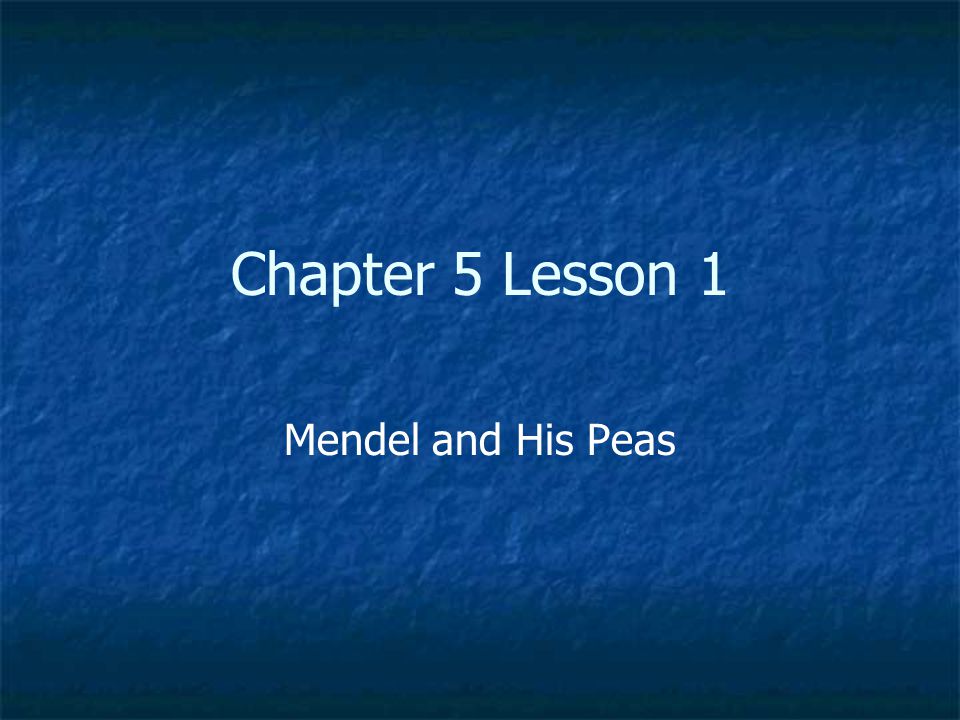 Chapter 5 Lesson 1 Mendel and His Peas