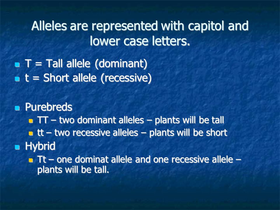Alleles are represented with capitol and lower case letters.