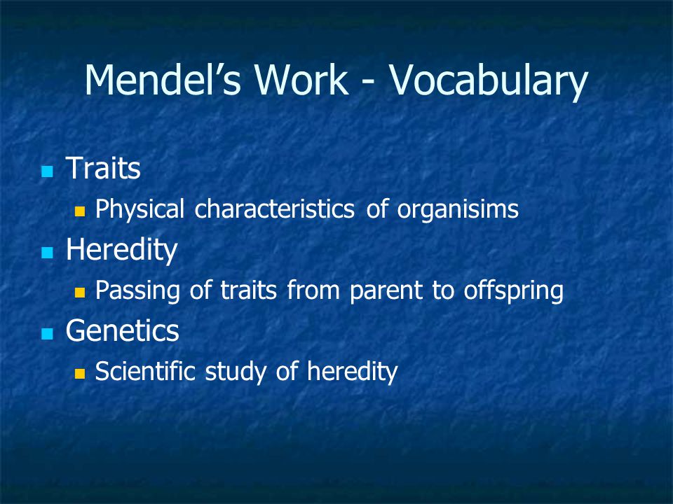 Mendel’s Work - Vocabulary