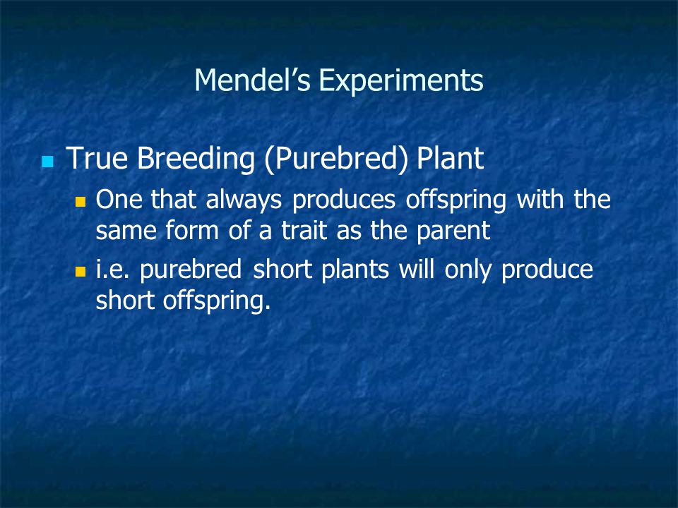 True Breeding (Purebred) Plant