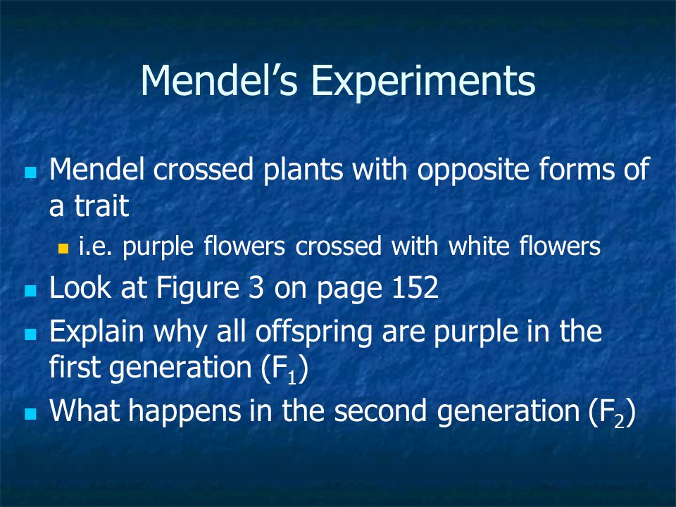 Mendel’s Experiments Mendel crossed plants with opposite forms of a trait. i.e. purple flowers crossed with white flowers.
