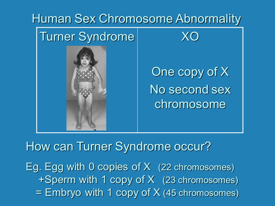 Chromosomal Mutations Ppt Video Online Download