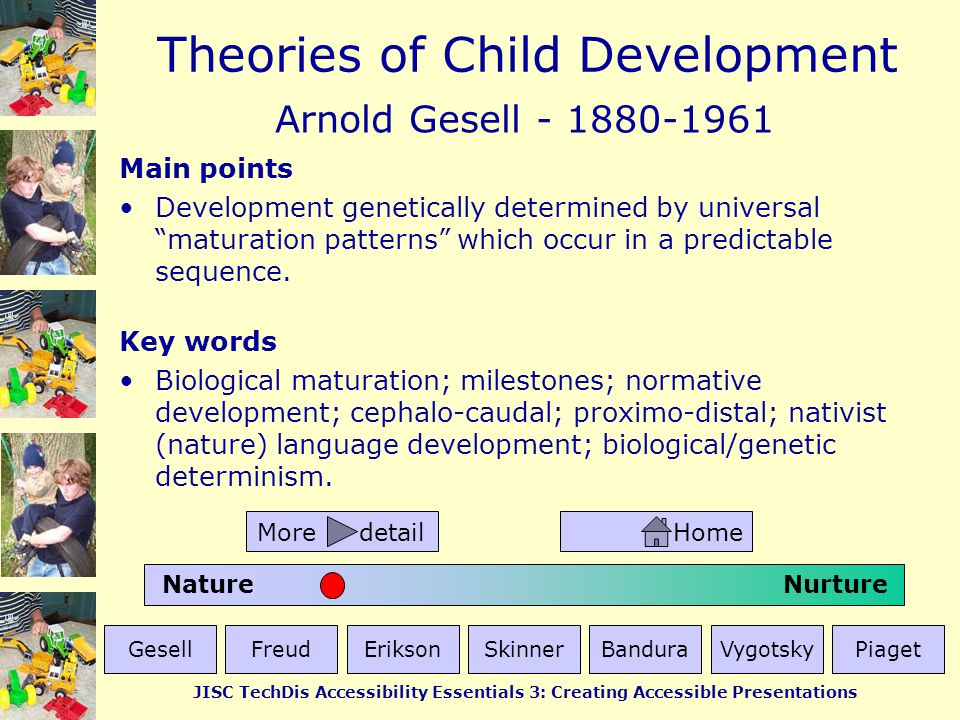 arnold gesell developmental theory
