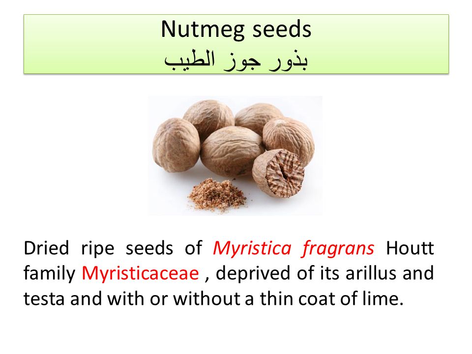 Nutmeg перевод