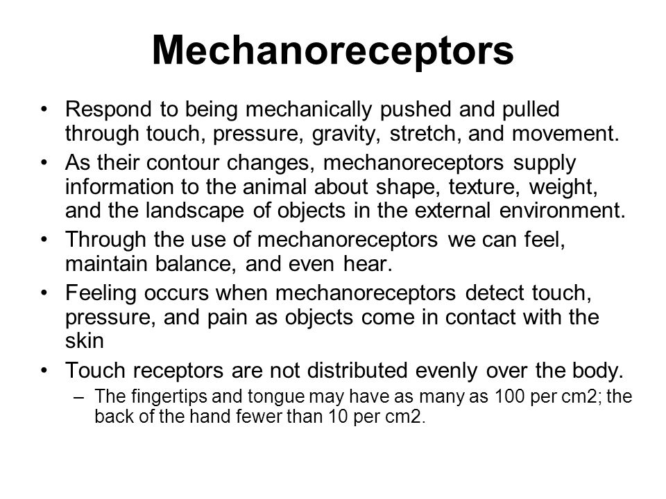 Mechanoreceptors Respond to being mechanically pushed and pulled through touch, pressure, gravity, stretch, and movement.
