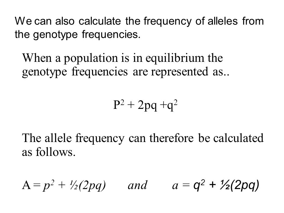 Hardy Weinberg Equilibrium Ppt Download