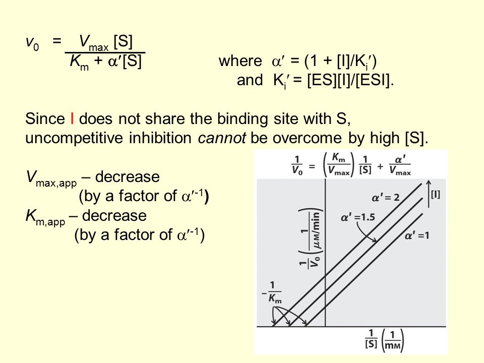 v0 = Vmax [S] Km + [S] where  = (1 + [I]/Ki) and Ki = [ES][I]/[ESI]. Since I does not share the binding site with S,
