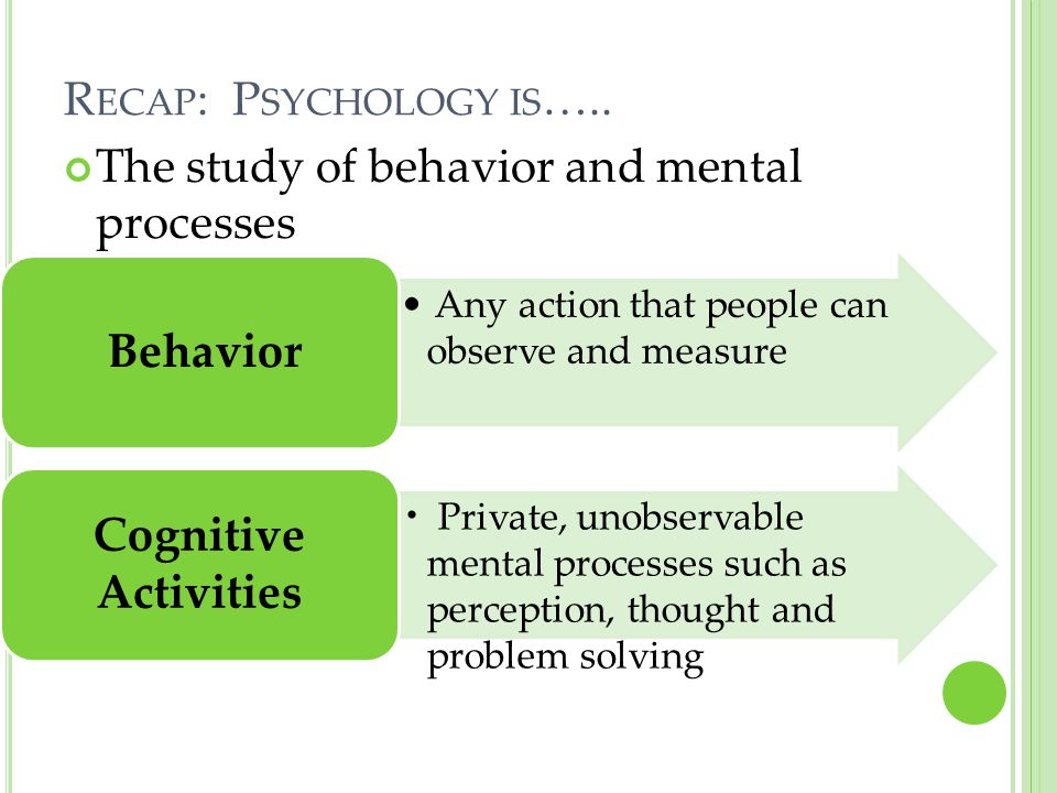Behavior Cognitive Activities