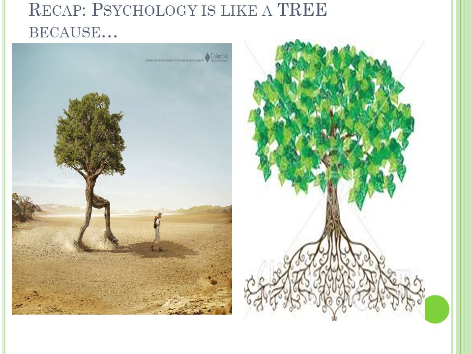 Recap: Psychology is like a TREE because…