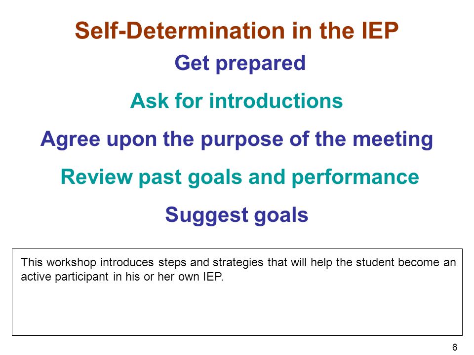 Self-Determination in the IEP