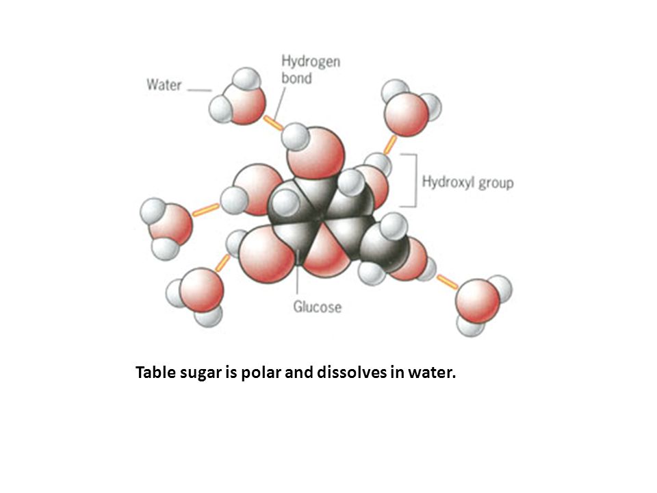 Table sugar is polar and dissolves in water.