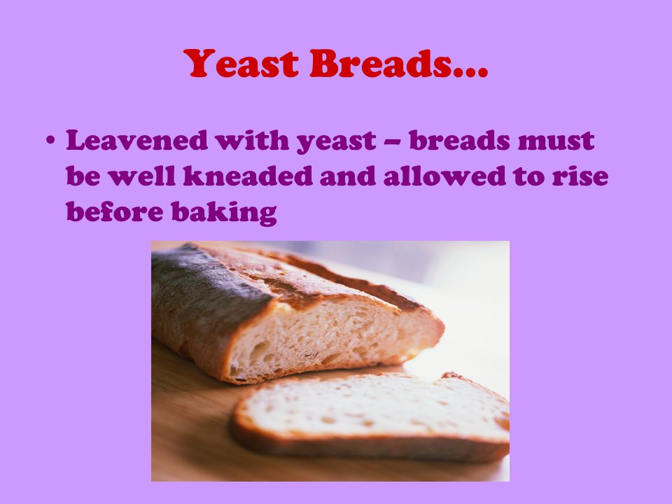 Yeast Breads… Leavened with yeast – breads must be well kneaded and allowed to rise before baking
