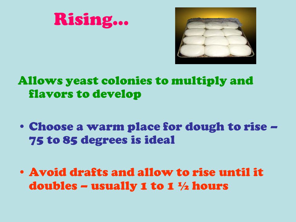 Rising… Allows yeast colonies to multiply and flavors to develop