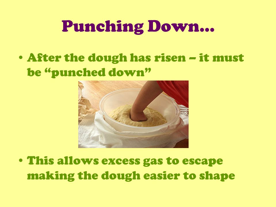 Punching Down… After the dough has risen – it must be punched down