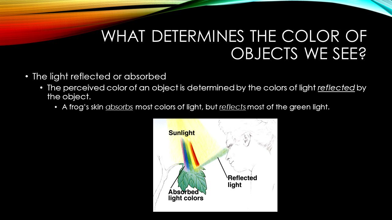 What determines the color of objects we see