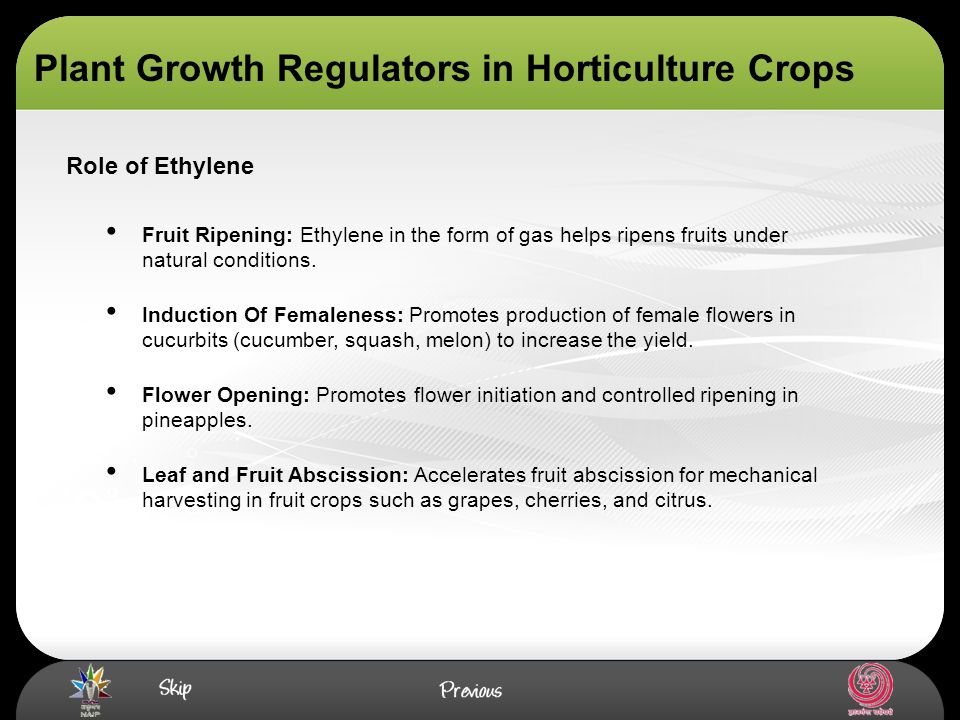 Régulateurs de croissance des plantes en horticulture