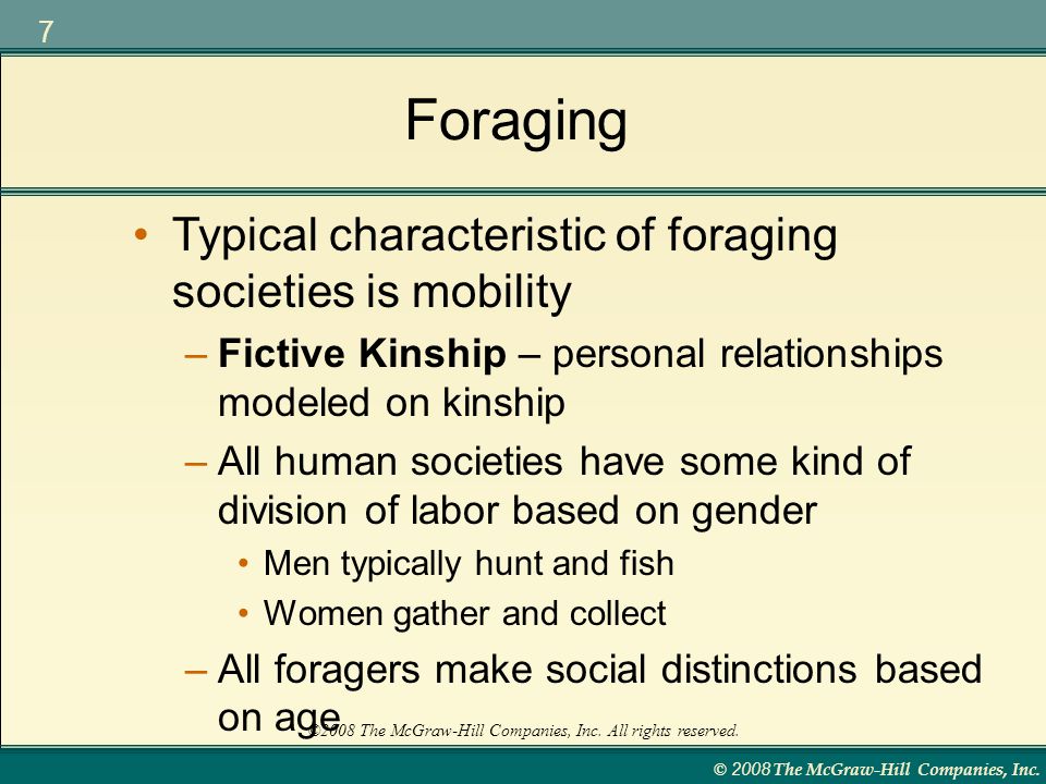 foraging societies