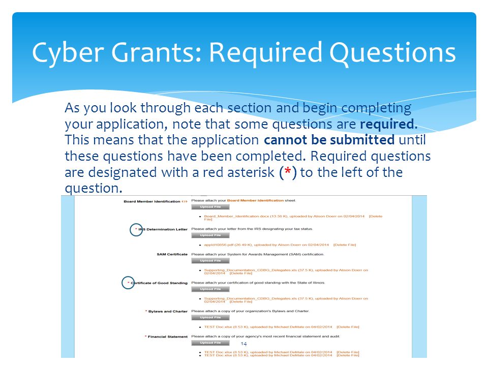 Cyber Grants: Required Questions