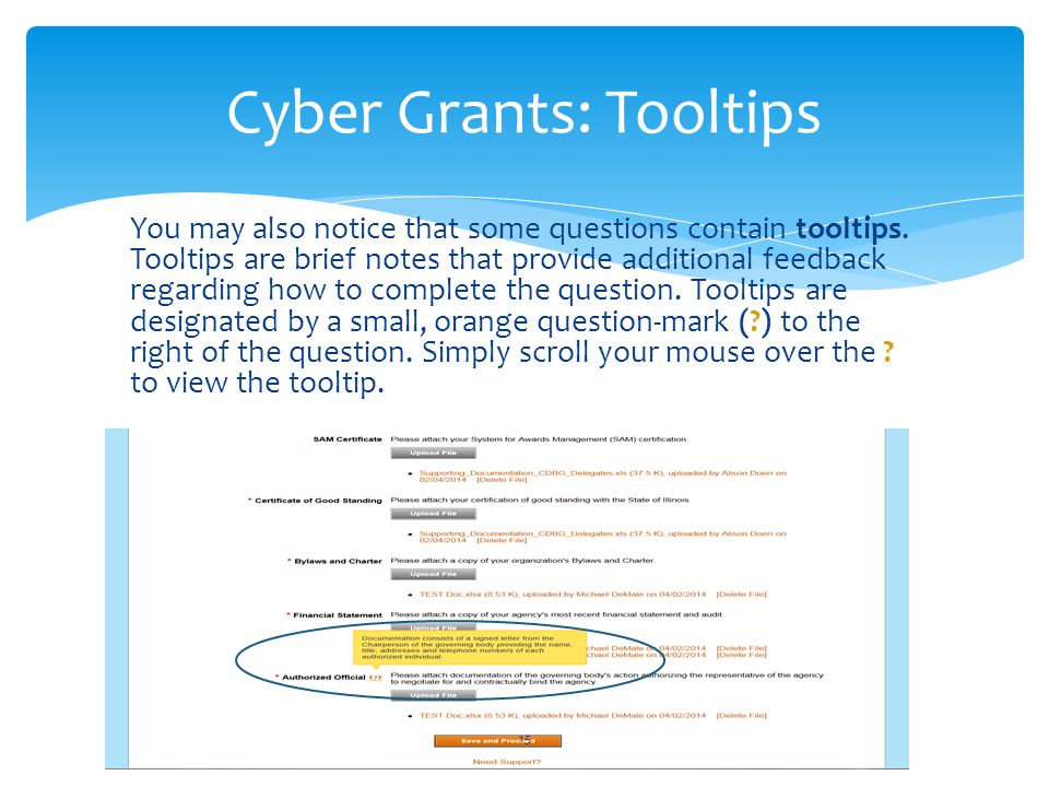 Cyber Grants: Tooltips