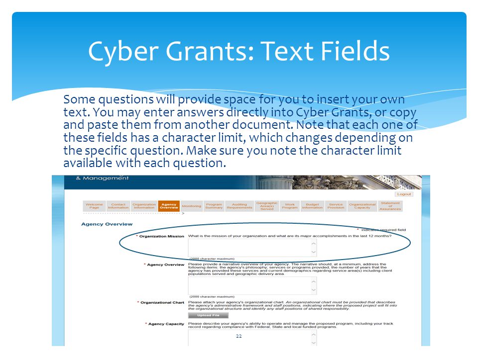 Cyber Grants: Text Fields