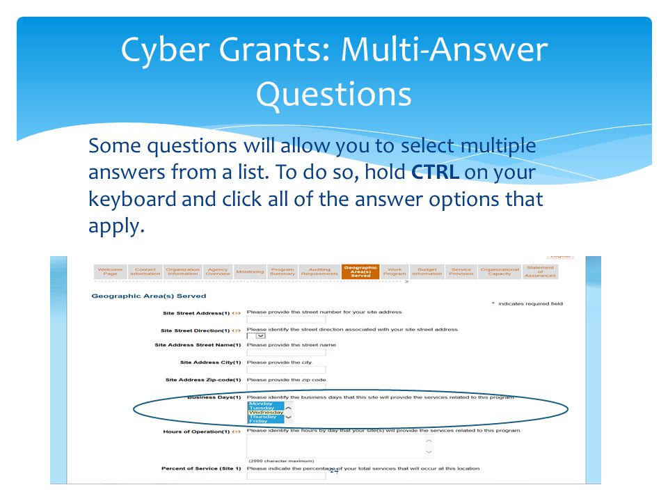 Cyber Grants: Multi-Answer Questions