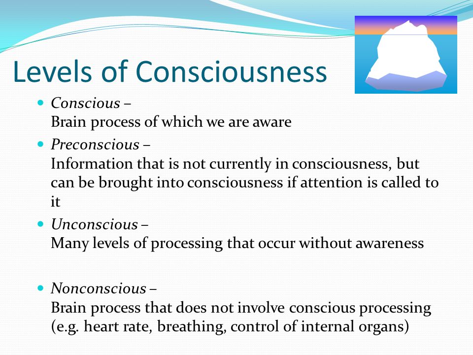 4 the levels of consciousness are what THE FOUR