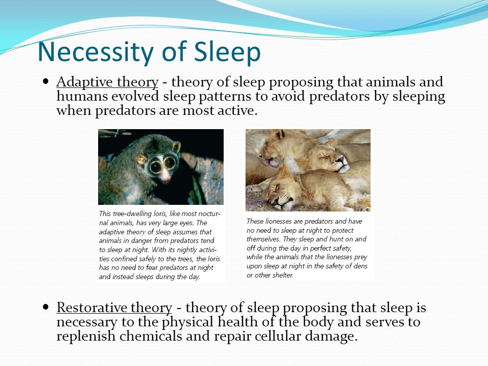 restorative theory of sleep