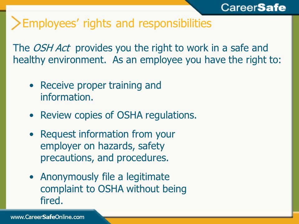 Employees’ rights and responsibilities