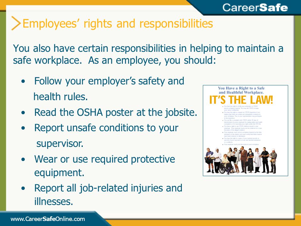 Employees’ rights and responsibilities
