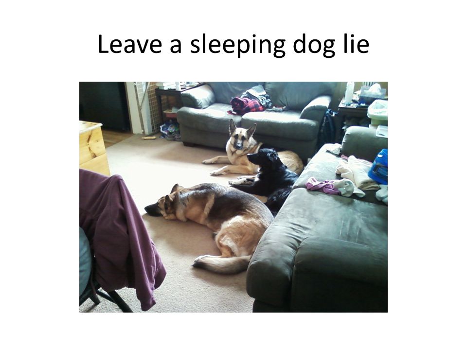 Leave a sleeping dog lie