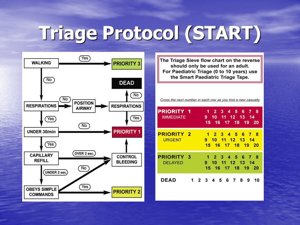 Start Triage System Steps