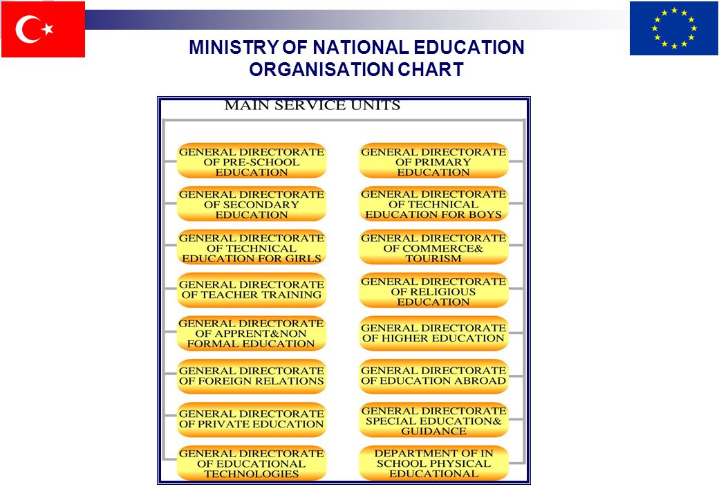 Primary School Organisation Chart