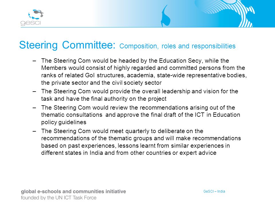 Steering Committee: Composition, roles and responsibilities