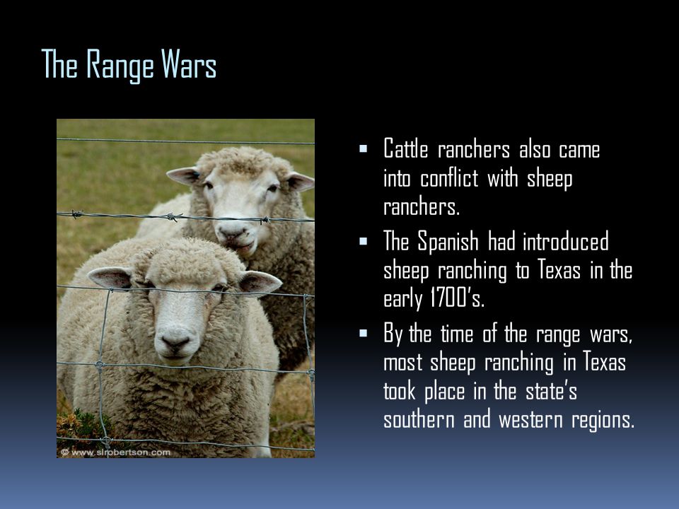 Why Sheep Started So Many Wars in the American West