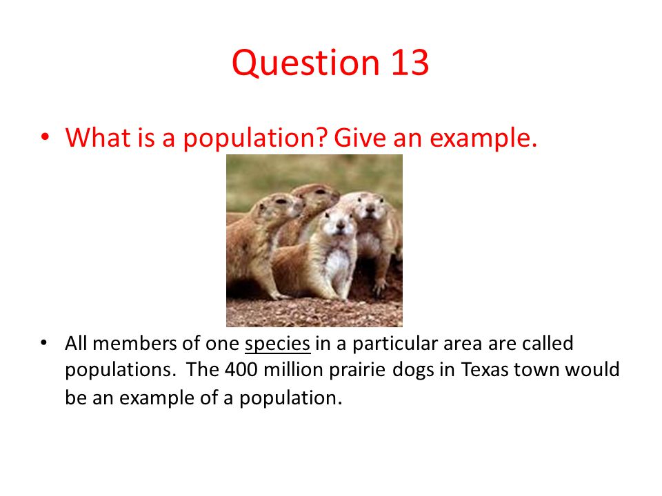 Question 13 What is a population Give an example.