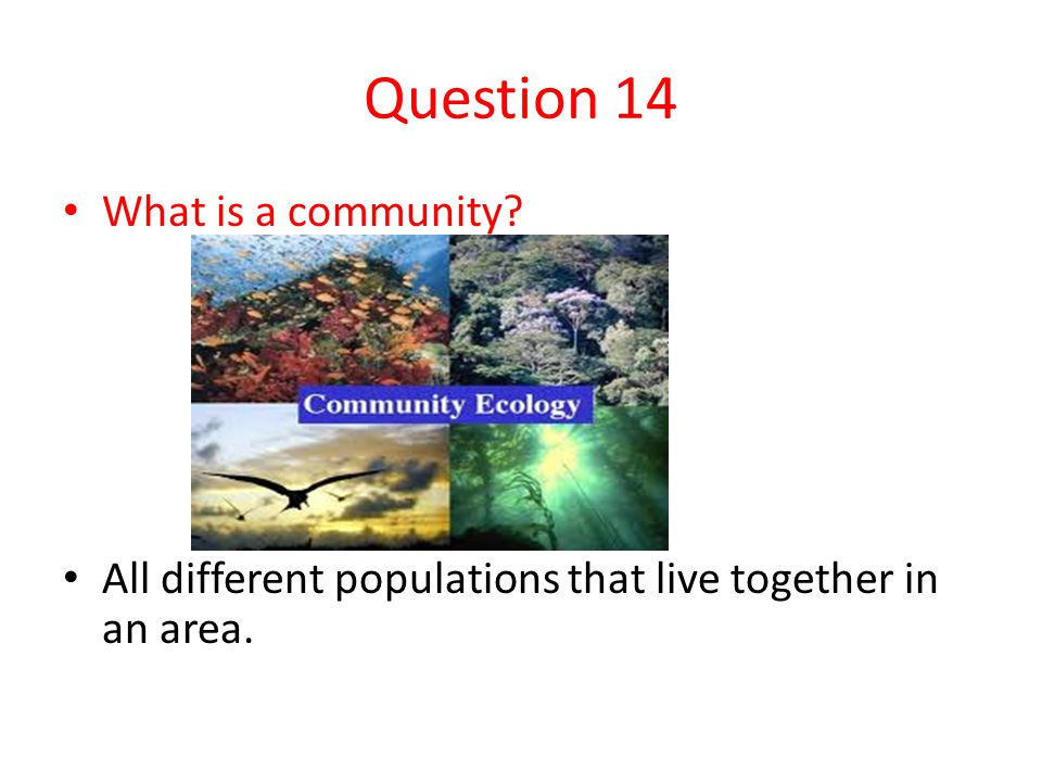 Question 14 What is a community